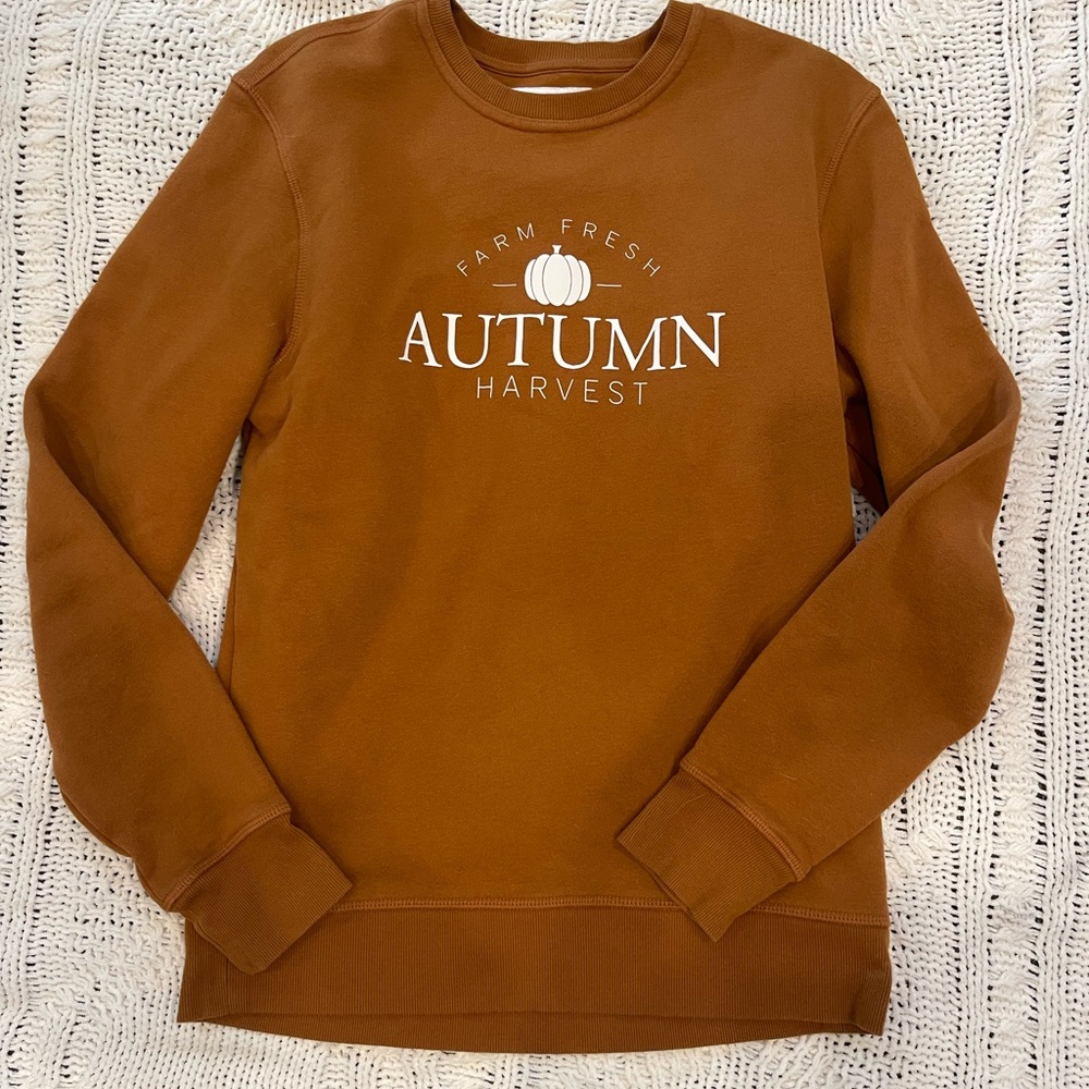 Autumn Harvest Brown Sweatshirt